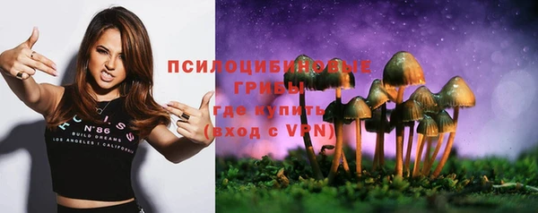 mdpv Медвежьегорск