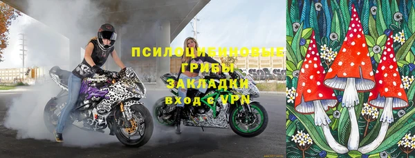 mdpv Медвежьегорск