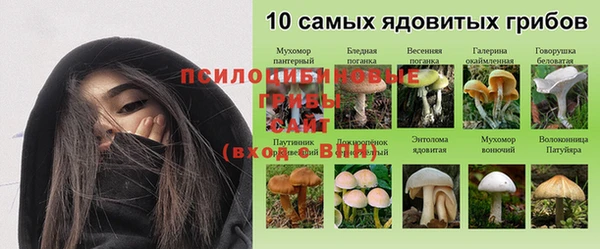 скорость mdpv Медногорск