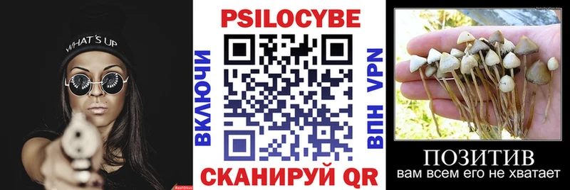 Псилоцибиновые грибы Psilocybine cubensis  Владивосток 