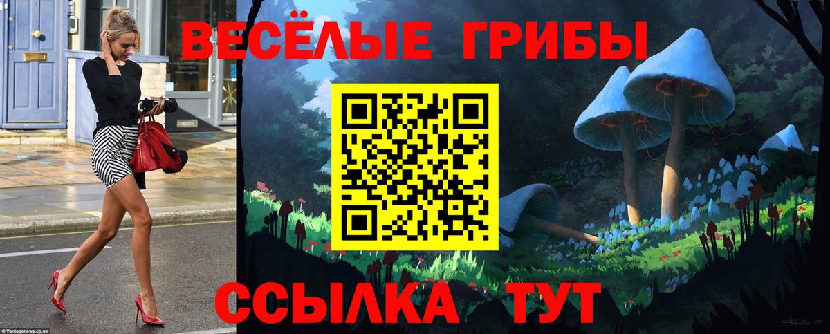 Псилоцибиновые грибы мухоморы Владивосток