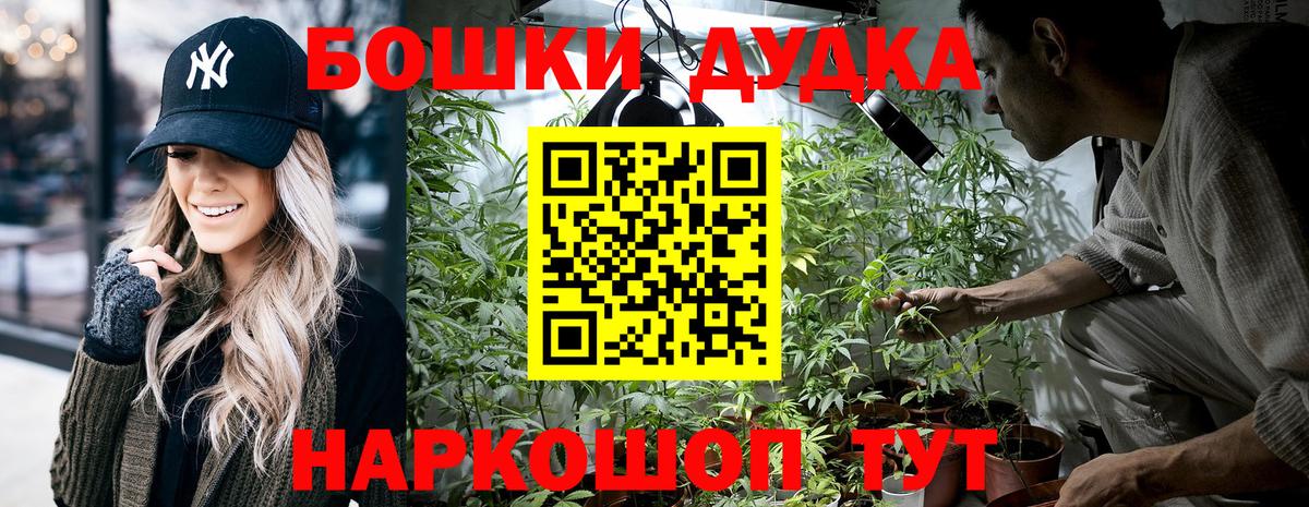 Канабис конопля Владивосток